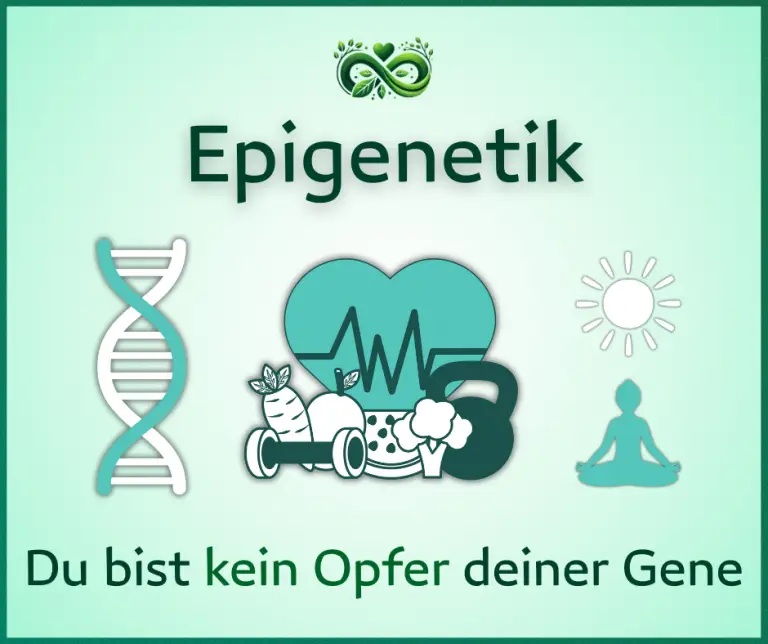 Epigenetik