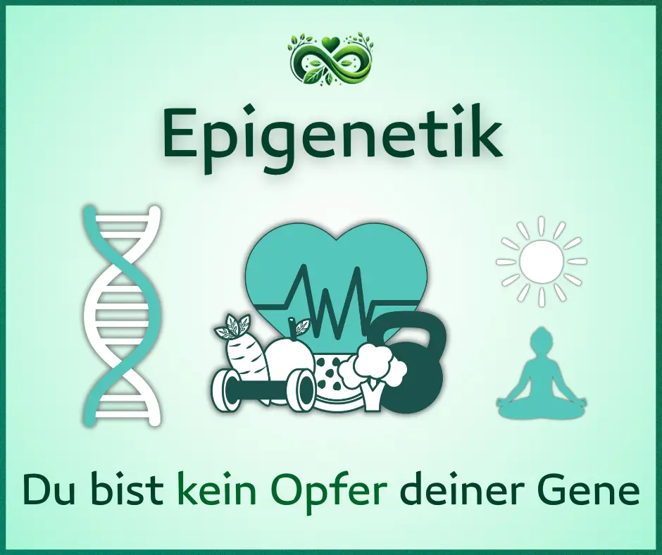 Epigenetik
