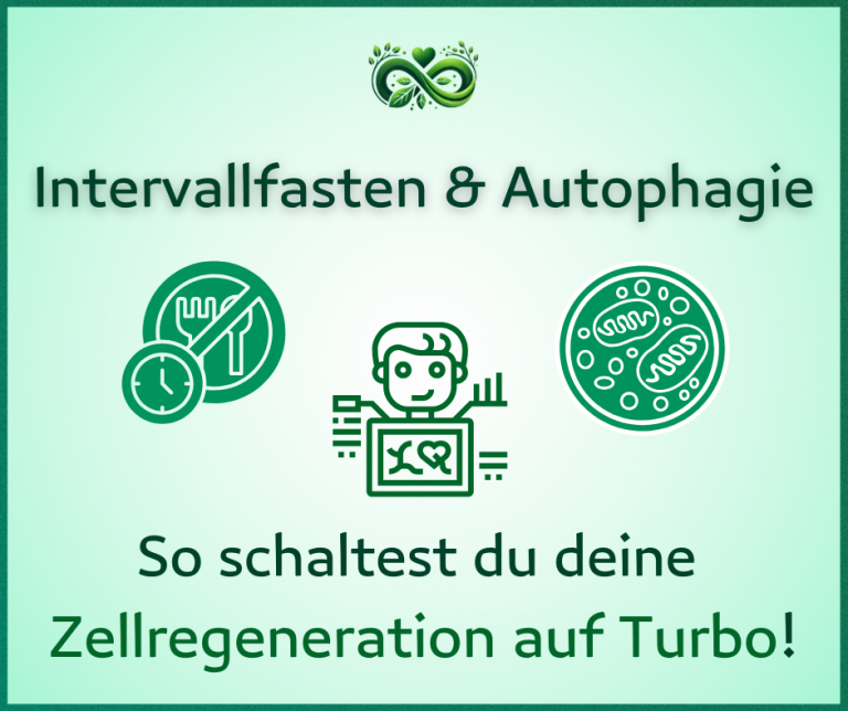 Intervallfasten & Autophagie