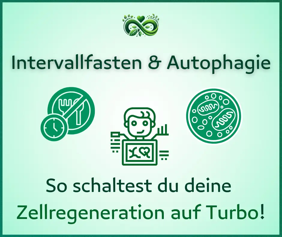 Intervallfasten & Autophagie
