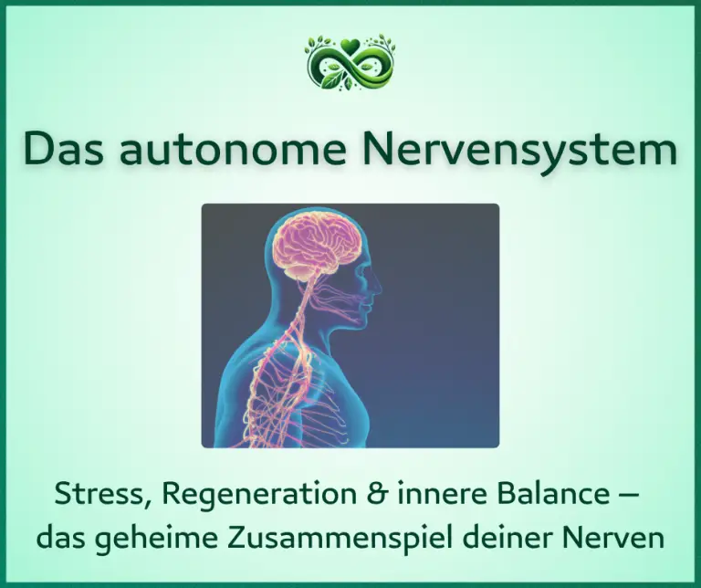 Das autonome Nervensystem